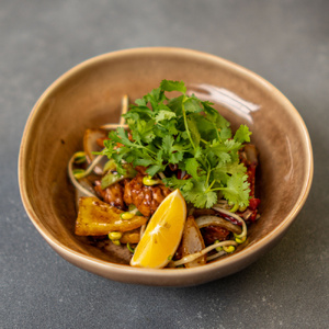 CHICKEN WITH VEGETABLES AND KUNG PAO SAUCE