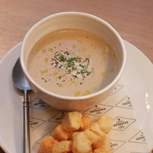 Cream of mushroom soup with croutons