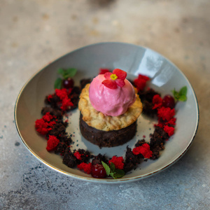 ШОКОЛАДНЫЙ ФОНДАН С МАЛИНОВЫМ СОРБЕТОМ